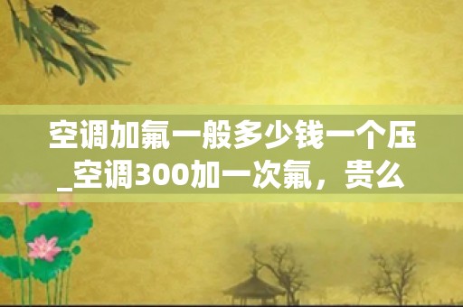 空调加氟一般多少钱一个压_空调300加一次氟，贵么？