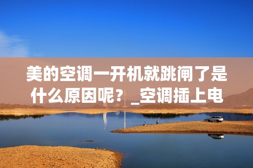 美的空调一开机就跳闸了是什么原因呢？_空调插上电源就跳闸有几种原因