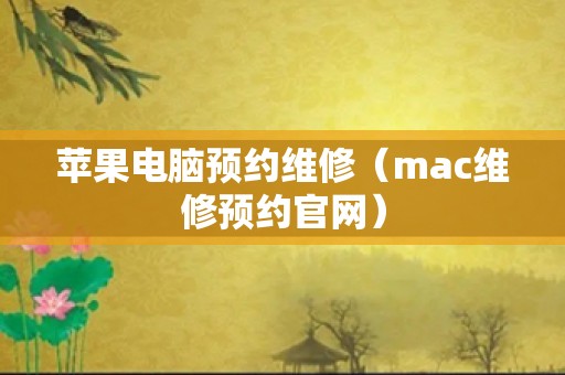 苹果电脑预约维修（mac维修预约官网）