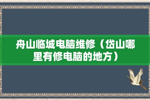 舟山临城电脑维修（岱山哪里有修电脑的地方）