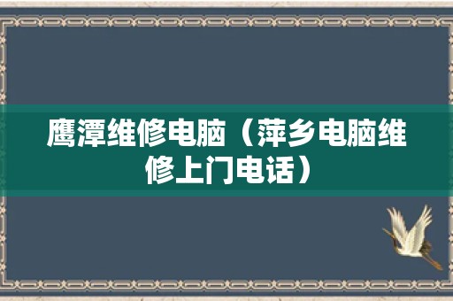 鹰潭维修电脑（萍乡电脑维修上门电话）