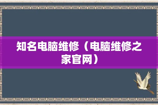 知名电脑维修（电脑维修之家官网）