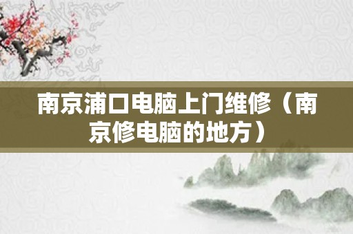 南京浦口电脑上门维修（南京修电脑的地方）