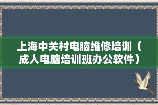 上海中关村电脑维修培训（成人电脑培训班办公软件）