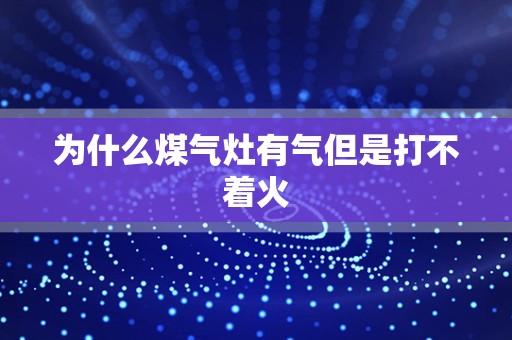 为什么煤气灶有气但是打不着火