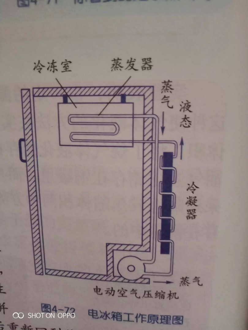 电冰箱的工作原理是什么物态变化（电冰箱的详细结构）