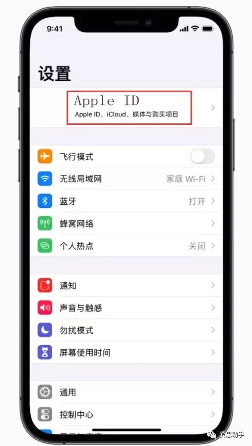 苹果手机忘记id密码怎么办（忘记 Apple ID 密码解决方法）